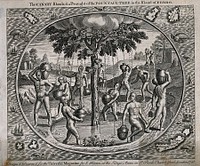 Canary Islanders circling a fountain tree (Spathodea campanulata) and filling their urns with the water it secretes. Wood-engraving, ca. 1748.