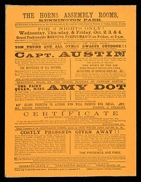 [Undated handbill (after 1876) for a 3 night variety show featuring Capt. Austin (mimic and ventriloquist) and Amy Dot, the Fairy Queen].