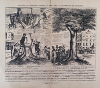 Two trees being cultivated by doctors; symbolising the differences claimed by James Morison between the 'organic' and his 'hygeist' approached to health. Lithograph, c. 1835.