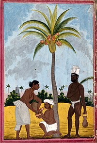 Toddy tappers at work: two men and a woman by a palm tree. Gouache drawing, 18--.