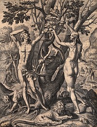 A woman-serpent bends around the Tree of Knowledge as Adam and Eve reach into the branches. Line engraving by T. de Bry after J. van Winghe.