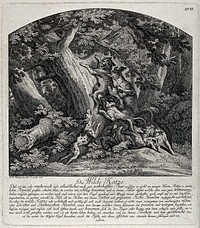 Two wild cats tracked down by a pack of hunting dogs in a forest. Etching by J. E. Ridinger.