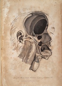 Anatomy of the ear, John Cunningham Saunders, 1806