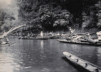 Sarawak: a Malaysian tribe fishing on the Baram River. Photograph.