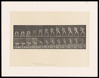 A man in a posing pouch bends, picks up a rock, lifts it to shoulder height and supports it with his right hand. Collotype after Eadweard Muybridge, 1887.