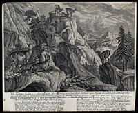 A group of chamois with their young in the mountains. Etching by J.E. Ridinger.