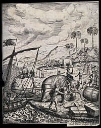 Elephant drovers and workmen in loincloths driving on an elephant in reins to pull a ship to the shore. Engraving by J. Petrus.