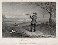 A man points his gun at a bird in the air while his dogs are avid to fetch the prey. Steel engraving by Harris, 18--.
