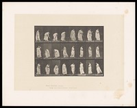 A clothed woman scoops up a ball with a tennis racquet held in her right hand, catches it with her left, then hits the ball away, bends to pick up a ball, walks, picks up a ball again, turns then smiles. Collotype after Eadweard Muybridge, 1887.