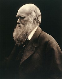 Charles Robert Darwin. Photograph by Julia Margaret Cameron, 1868.