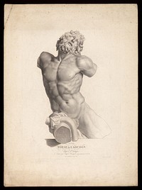 The torso of Laocoon. Crayon manner print by A.F. Girard, 1820, after Eugène Bourgeois after Agesander.