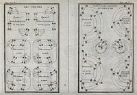 Dressage instructions for making a horse perform circles, half-circles and pirouttes. Etching by G. Dheulland.