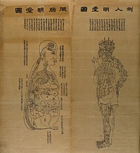 The human body, showing a circulatory system: lateral view of viscera (left) and lateral view of a standing figure (right). Woodcut by Chinese artist.