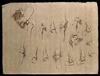 Bones of the pelvis, hip and knee joints. Pencil and red chalk drawing by J.C. Zeller, ca. 1833.