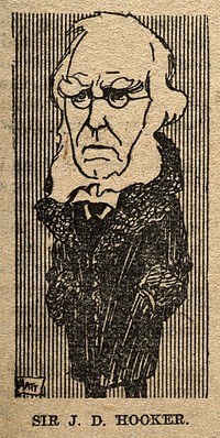 Sir Joseph Dalton Hooker. Reproduction of drawing by Matt [].