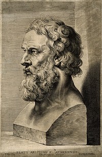 Plato. Line engraving by L. Vorsterman after Sir P. P. Rubens.