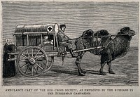 Crimean War: an ambulance vehicle. Wood engraving.
