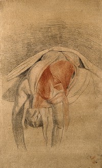 Écorché cadaver lying prone, with arms and head hanging down, showing the muscles of the back and shoulder. Red, black and white chalk drawing, with pencil, by C. Landseer, ca. 1815.