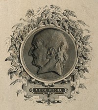 Antoine Laurent de Jussieu. Line engraving by A. Féart after himself after David d'Angers, 1836.