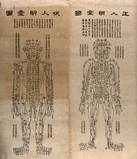 The human body, showing a circulatory system: front and back views. Woodcut by Chinese artist.