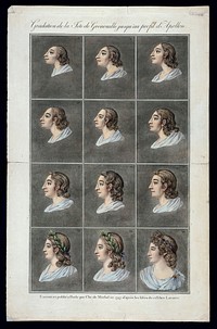 Twelve stages in the sequence from the head of a primitive man to the head of the Apollo Belvedere. Coloured etchings by Christian von Mechel after Lavater, 1797.