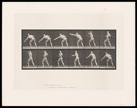 A naked man throws a punch with his left hand, lowers his arm, brings it back behind him, turning as he does so. Collotype after Eadweard Muybridge, 1887.