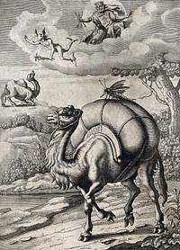 Above, a dromedary is kneeling before a god in the clouds, out of which Mercury is descending, below, a dromedary is carrying a load with a locust perched on top; illustration for a fable. Etching.