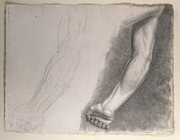 Arm and hand of the 'Borghese Gladiator' statue: drawing made from the statue originally sculpted by Agasias of Ephesus, with an outline diagram of the arm and its muscles, shown below. Pencil and chalk  drawing by J.C. Zeller , ca. 1839.
