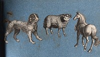 A dog, a sheep and a horse. Cut-out engraving pasted onto paper, 16--.