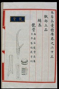Chinese Materia Medica illustration, Ming: Dragon bone