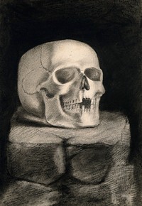 Skull, resting on a block of stone. Black chalk drawing, 18--.