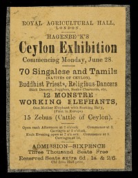 [Undated card advertising Hagenbeck's Ceylon exhibition at the Royal Agricultural Hall, London].