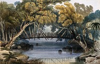 Mariquita, Colombia: a wooden bridge. Coloured lithograph by C. Empson, 1836.