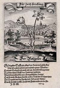 A field surrounded by wooded hills, with a saffron crocus in the foreground and verses below. Etching by Matthäus Merian the elder ca. 1646.