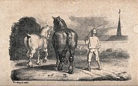 A boy in clogs is driving two horses with his rod. Chalk lithograph, 1822.