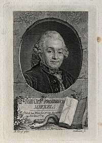 Johann Friedrich Meckel the elder. Line engraving by J. Schleuen after A. Graf.