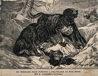 Two St. Bernard dogs find an unconscious man in the snow and alert the rescue party of his presence. Wood engraving by C.H.