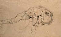 Écorché cadaver lying prone, with right arm hanging down. Black and red chalk drawing, by C. Landseer, ca. 1815.