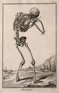 A human skeleton, seen from the back, bent forward with his hands clasped to his skull, after Vesalius. Engraving by Benard, late 18th century, after a woodcut, 1543.