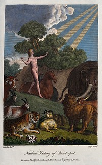 Adam is standing in the garden of Eden looking up to the godhead while being surrounded by the animals of the creation. Coloured engraving by J. Pass after C. P. Marillier.