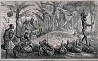 African people brewing pombe beside a pile of sorghum grain. Wood engraving by J. B. Zwecker.