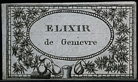A juniper liqueur label illustrated with sprigs of juniper (Juniperus communis). Engraving, 19th century.