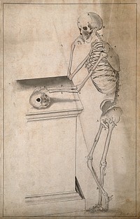 Standing skeleton, seen from the side, resting right elbow on a pedestal, with left hand resting on a skull. Pen and ink wash drawing by J. Mallcott after A. Vesalius, 1796.