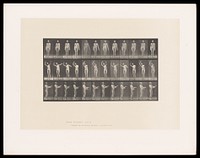 A naked man stands still, then waves his arms around. Collotype after Eadweard Muybridge, 1887.