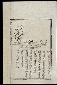 Ming herbal (painting): The dog