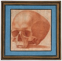 A skull. Red chalk.