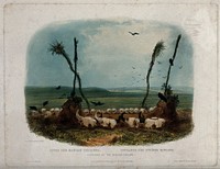 Human and animal skulls placed on the ground as offerings by the Mandan Indians. Coloured aquatint by S. Himely after Ch. Bodmer, 1839.