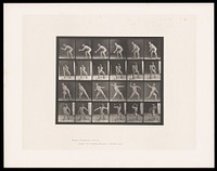 A man catching a ball and throwing. Collotype after Eadweard Muybridge, 1887.