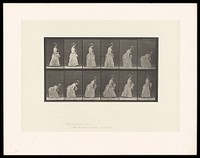 A clothed woman walking and bending to her right side to pick up a handkerchief she has dropped, holding a parasol in her left hand. Collotype after Eadweard Muybridge, 1887.