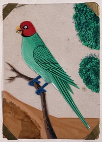 A parrot perched on a branch. Gouache painting on mica by an Indian artist.